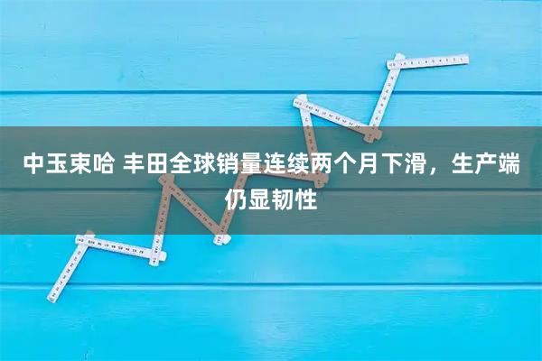 中玉束哈 丰田全球销量连续两个月下滑，生产端仍显韧性