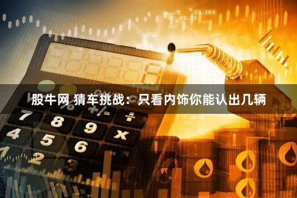 股牛网 猜车挑战：只看内饰你能认出几辆